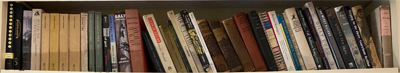 Photo of shelf A1 in the Left bookcase at Pleasant Street (top shelf)