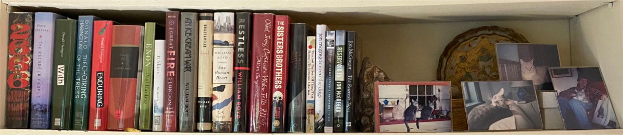 Photo of shelf A2 in the Left bookcase at Pleasant Street (second shelf from top)