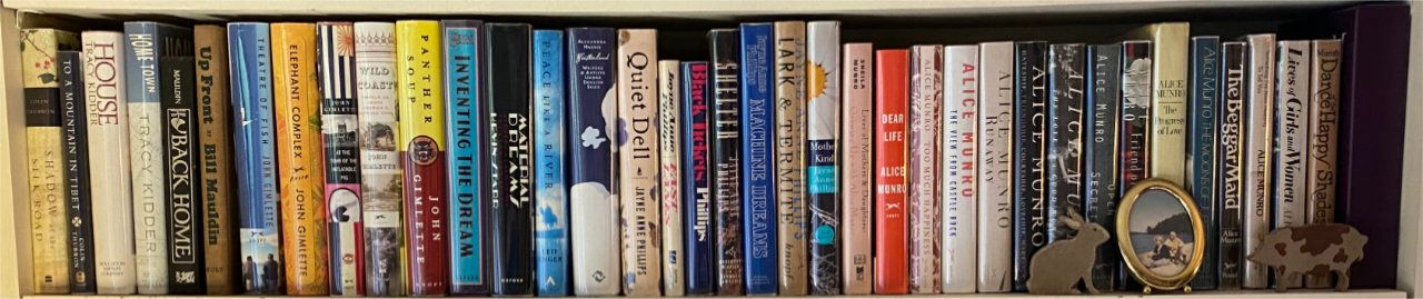 Photo of shelf A4 in the Left bookcase at Pleasant Street (third shelf from bottom)