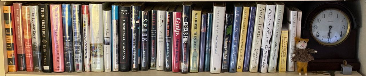 Photo of shelf A5 in the Left bookcase at Pleasant Street (second shelf from bottom)