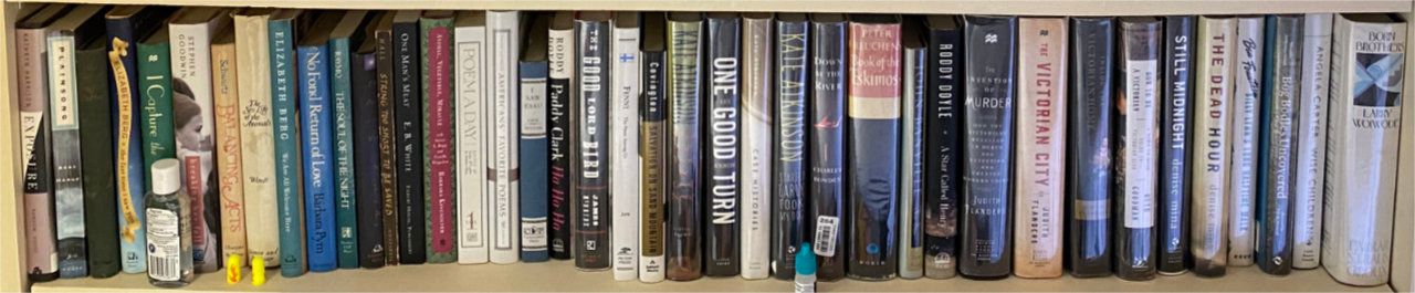 Photo of shelf A6 in the Left bookcase at Pleasant Street (bottom shelf)