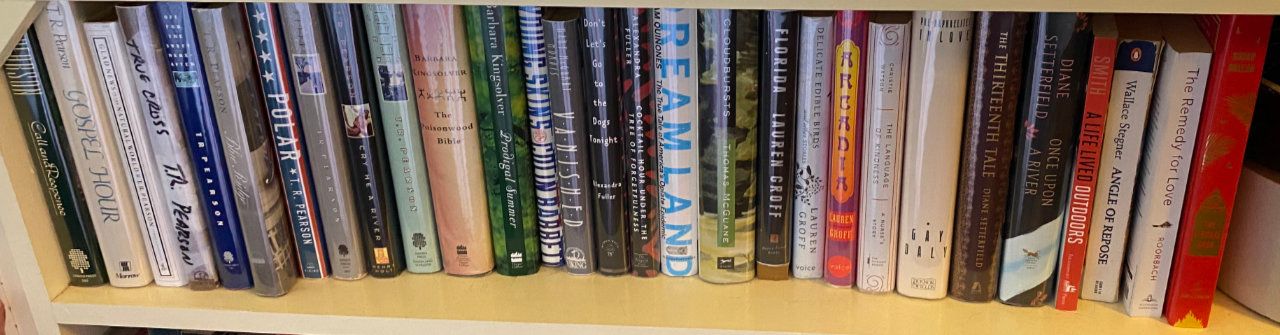 Photo of shelf B1 in the Middle bookcase at Pleasant Street (top shelf)