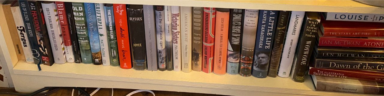 Photo of shelf B2 in the Middle bookcase at Pleasant Street (bottom shelf)