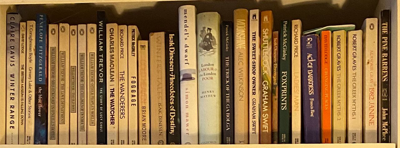Photo of shelf C1 in the Right bookcase at Pleasant Street (top shelf)