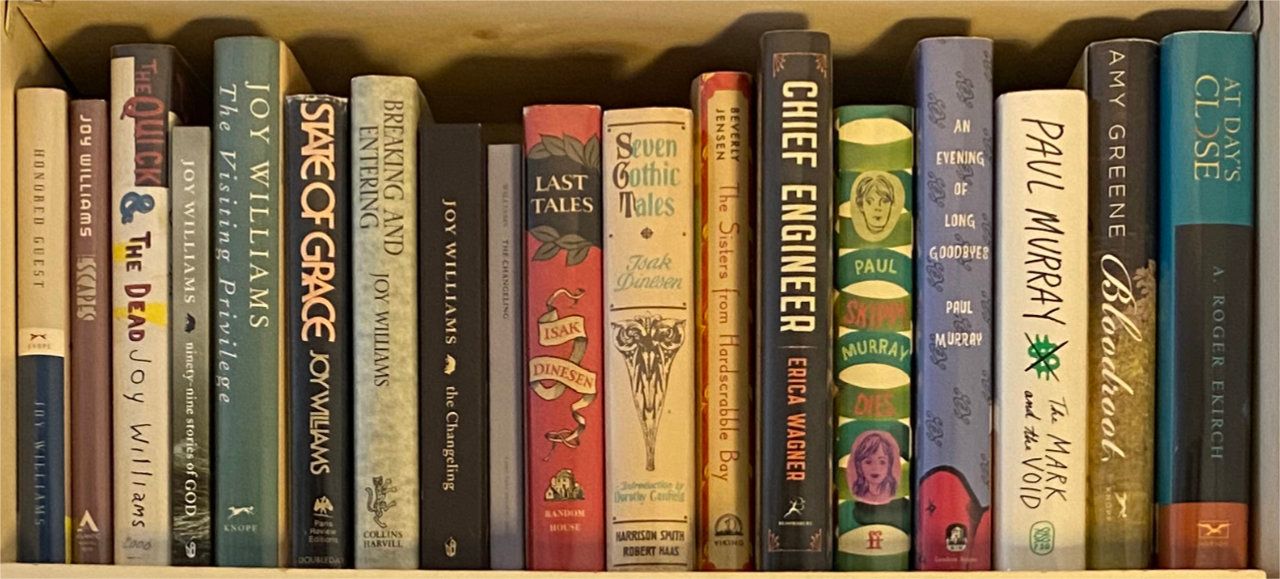 Photo of shelf C2 in the Right bookcase at Pleasant Street (second shelf from top)