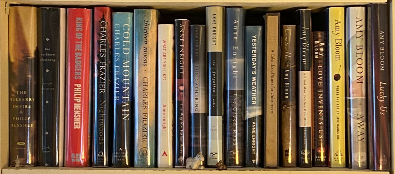 Photo of shelf C3 in the Right bookcase at Pleasant Street (third shelf from top)