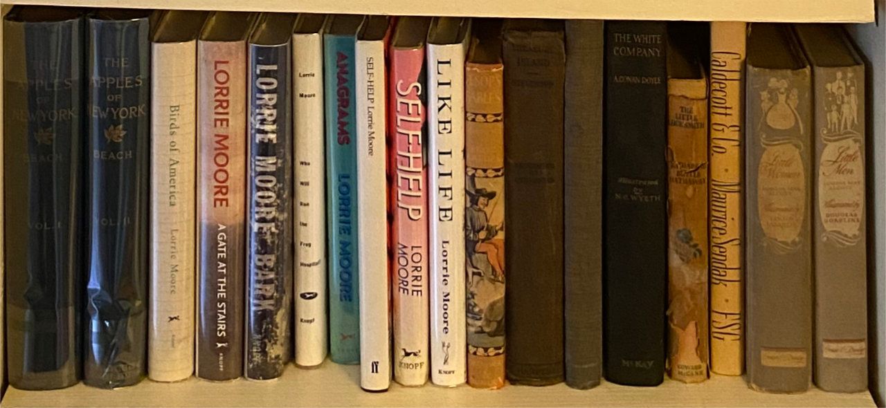 Photo of shelf C5 in the Right bookcase at Pleasant Street (fourth shelf from bottom)