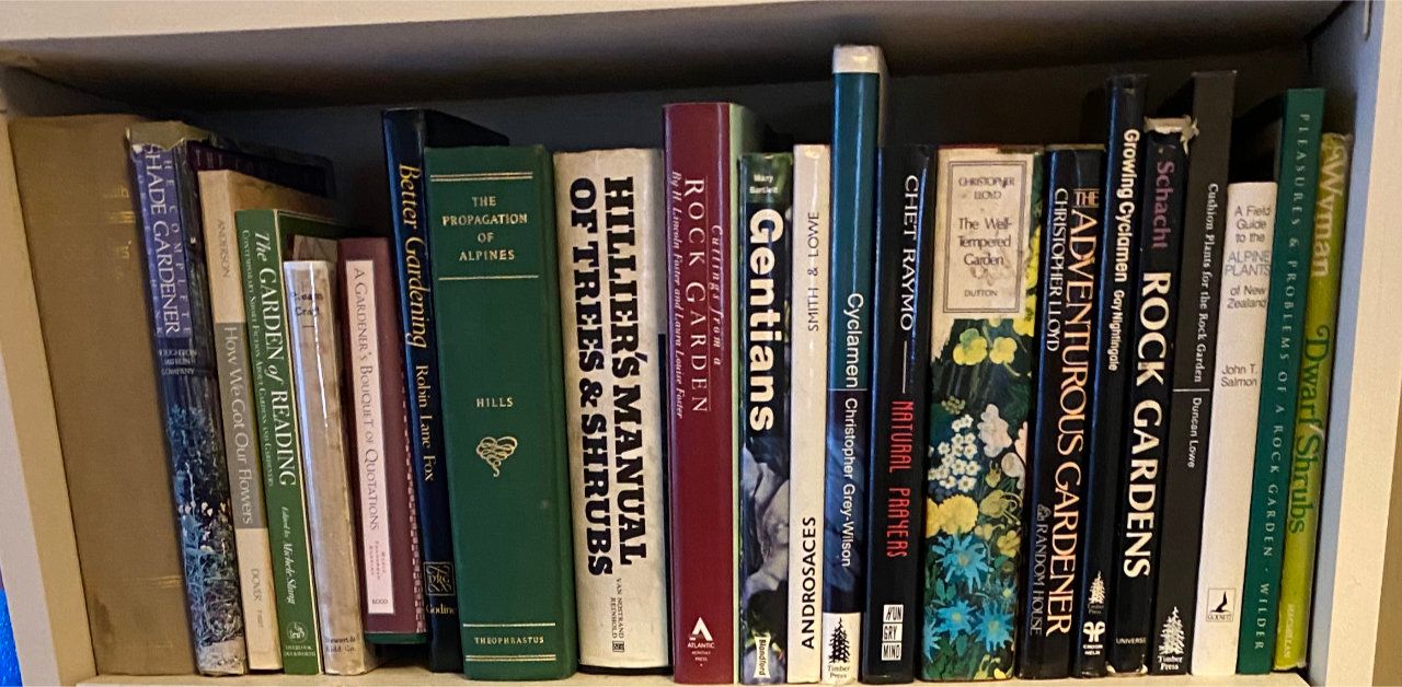 Photo of shelf C6 in the Right bookcase at Pleasant Street (third shelf from bottom)