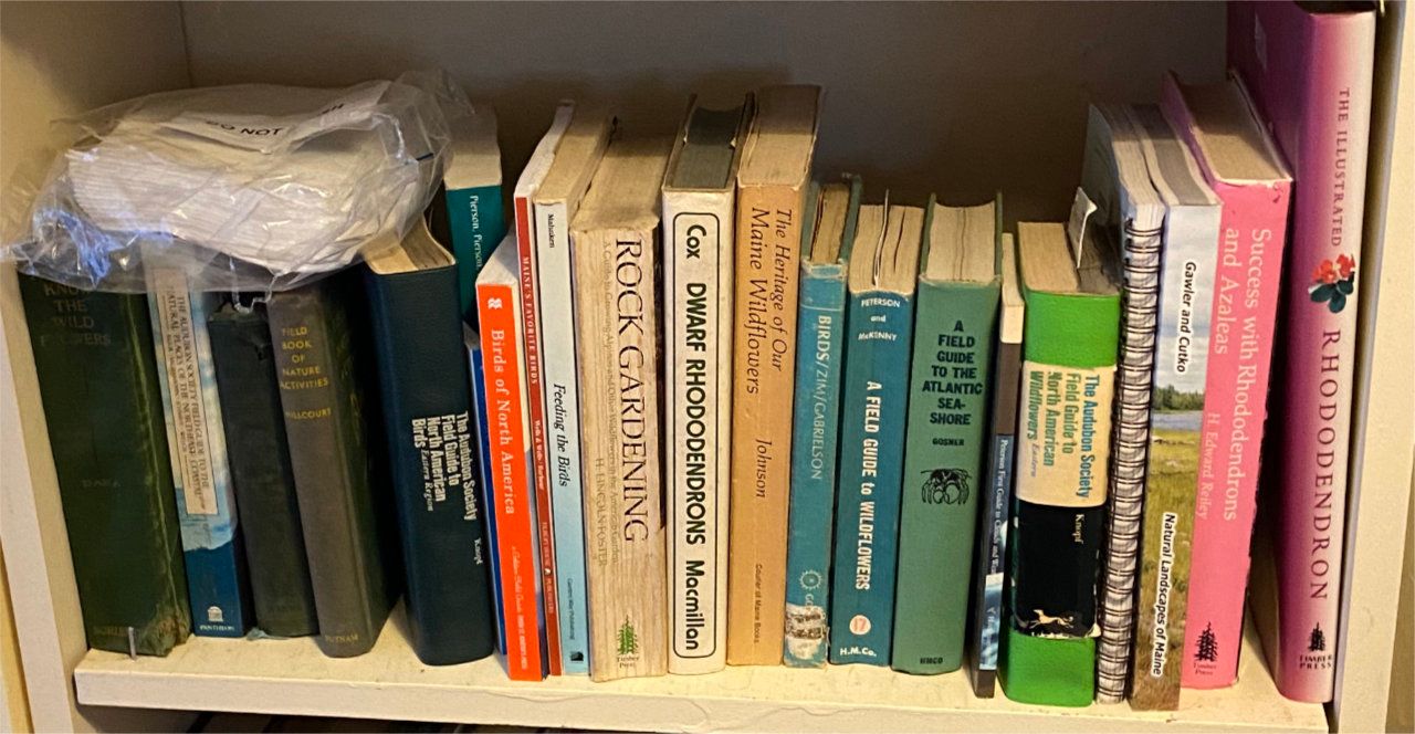 Photo of shelf C7 in the Right bookcase at Pleasant Street (second shelf from bottom)