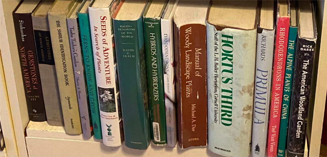 Photo of shelf C8 in the Right bookcase at Pleasant Street (bottom shelf)