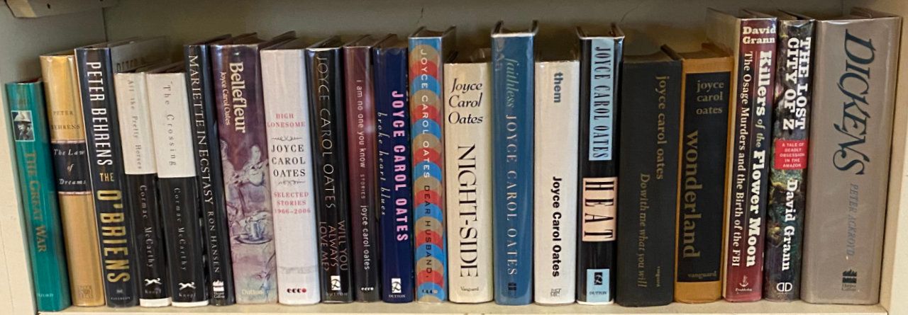 Photo of shelf E6 in the Middle bookcase at Garden (second shelf from bottom)