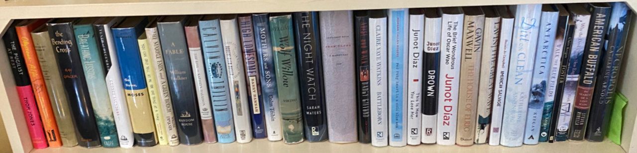 Photo of shelf G1 in the Living Room bookcase at Pleasant Street (top shelf)