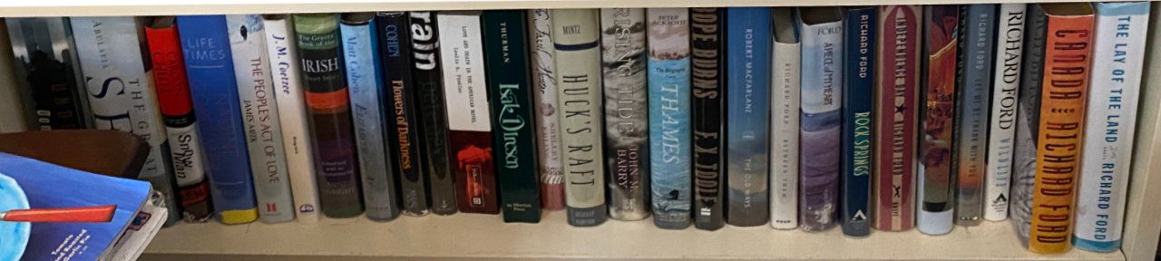 Photo of shelf G2 in the Living Room bookcase at Pleasant Street (middle shelf)