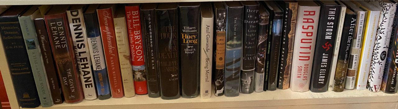 Photo of shelf G3 in the Living Room bookcase at Pleasant Street (bottom shelf)