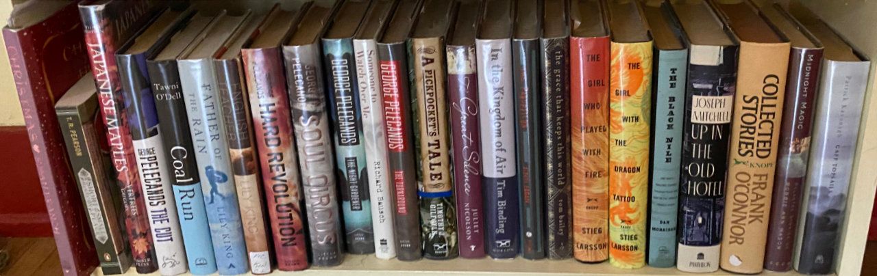 Photo of shelf H1 in the Living Room bookcase at Garden (top shelf)